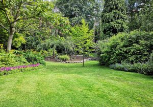 Optimiser l'expérience du jardin à Marcilly-en-Gault